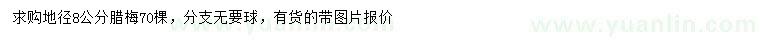 求購(gòu)地徑8公分臘梅