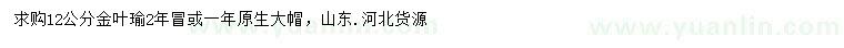 求購12公分金葉瑜