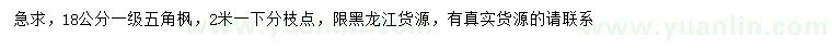 求購(gòu)18公分五角楓