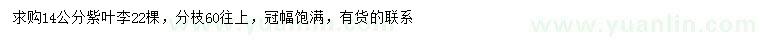 求購14公分紫葉李