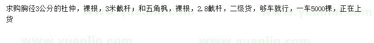求購胸徑3公分杜仲、五角楓