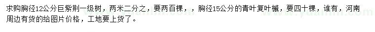 求購胸徑12公分巨紫荊、15公分青復(fù)葉槭