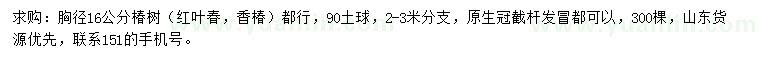 求購16公分椿樹