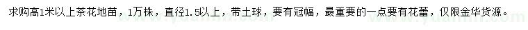 求購高1米以上茶花