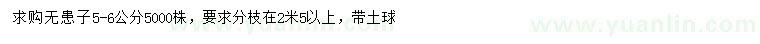 求購5-6公分無患子