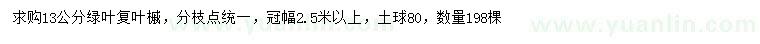 求購(gòu)13公分綠葉復(fù)葉槭