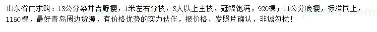 求購(gòu)13公分染井吉野櫻、11公分晚櫻