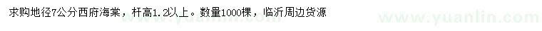 求購地徑7公分西府海棠