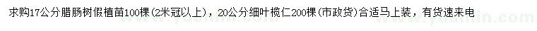 求購17公分臘腸樹(shù)、20公分細葉欖仁