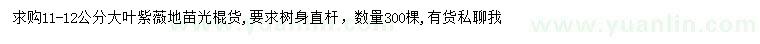 求購11-12公分大葉紫薇