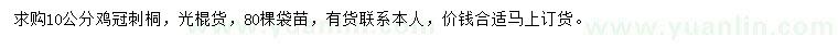 求購10公分雞冠刺桐