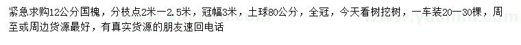 求購12公分國槐