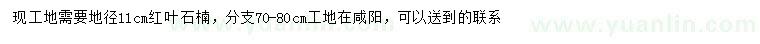 求購(gòu)地徑11公分紅葉石楠