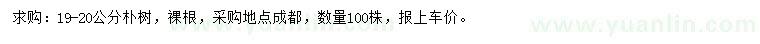 求購19-20公分樸樹