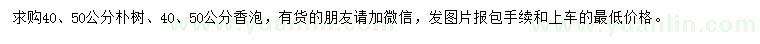 求購(gòu)40、50公分樸樹、香泡