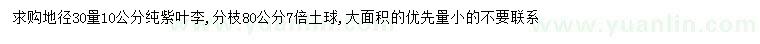 求購地徑30量10公分純紫葉李