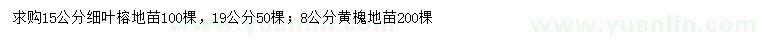求購15、19公分細(xì)葉榕、8公分黃槐
