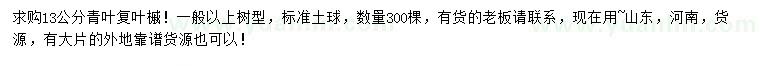 求購(gòu)13公分青葉復(fù)葉槭