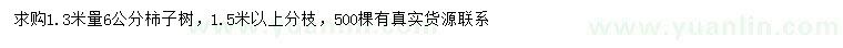 求購1.3米量6公分柿子樹