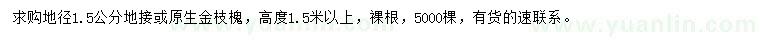 求購地徑1.5公分地接或原生金枝槐