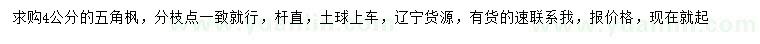 求購4公分五角楓