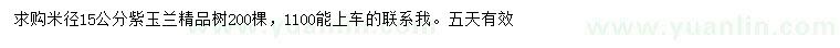 求購米徑15公分紫玉蘭