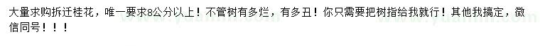求購8公分以上拆遷桂花