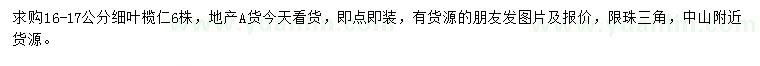 求購16-17公分細葉欖仁