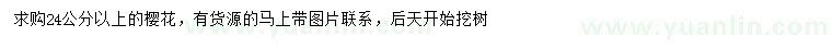 求購(gòu)24公分以上櫻花