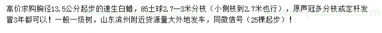 求購胸徑13.5公分起步速生白蠟