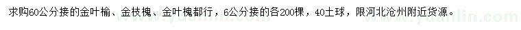 求購金葉榆、金枝槐、金葉槐
