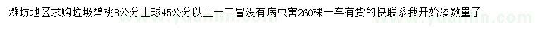 求購8公分垃圾碧桃