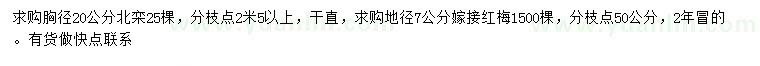 求購胸徑20公分北欒、地徑7公分嫁接紅梅