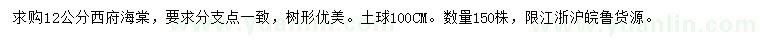 求購12公分西府海棠