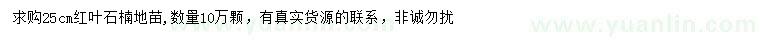 求購(gòu)25公分紅葉石楠地苗