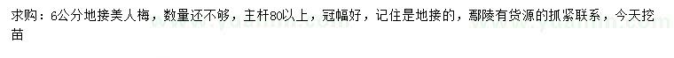 求購(gòu)6公分地接美人梅