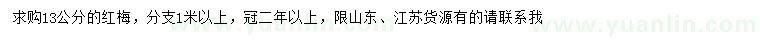 求購13公分紅梅