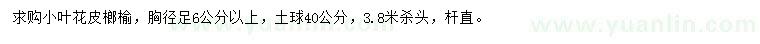 求購胸徑足6公分以上榔榆