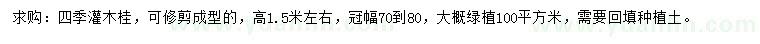 求購高1.5米左右四季灌木桂