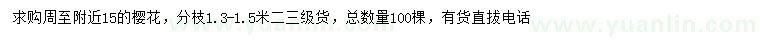 求購15公分櫻花