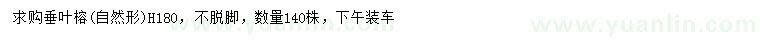求購高180公分垂葉榕