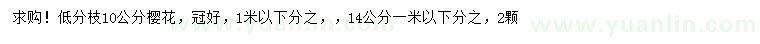 求購10、14公分櫻花