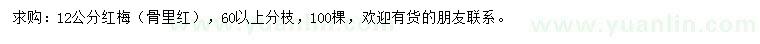 求購12公分紅梅
