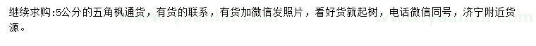 求購(gòu)5公分五角楓