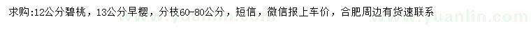 求購12公分碧桃、13公分早櫻