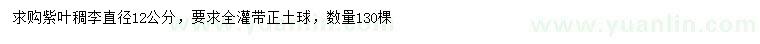 求購(gòu)直徑12公分紫葉稠李