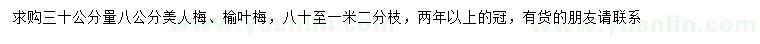 求購80公分量8公分美人梅、榆葉梅