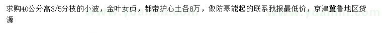 求購高40公分金葉女貞