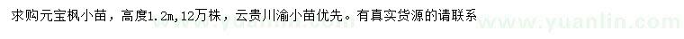 求購高1.2米元寶楓