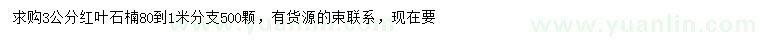 求購3公分紅葉石楠